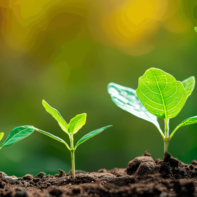 Cuando el problema no es la velocidad, sino el tiempo incorrecto